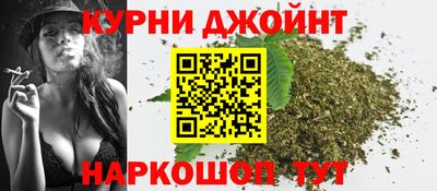 гашик Ливны