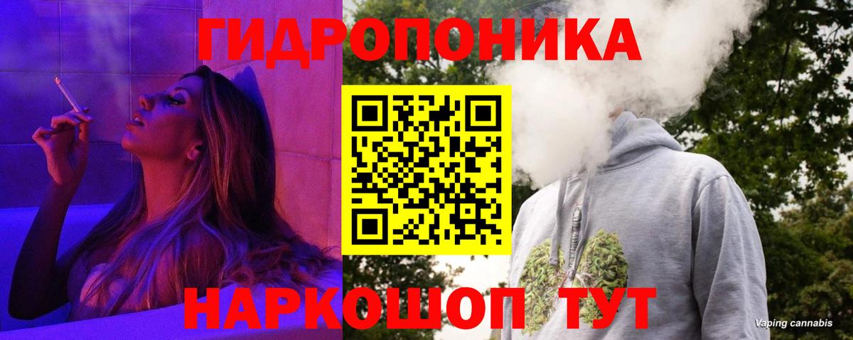 Зима  Конопля OG Kush  Шишки марихуана Ganja  Марихуана VHQ  Вход с VPN  Канабис Amnesia 